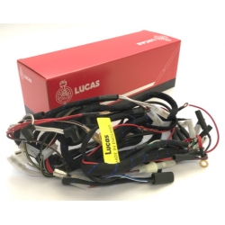 Cablagem Triumph  T100 Pre Unit Dinamo/Nacelle Lucas99-3921