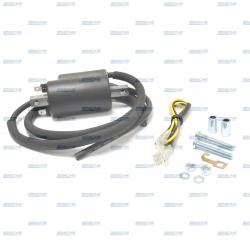 Bobine Ignição  12V Duplo Cabo Tipo Honda 30501-600-003P