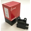Bobine 12V Ign. Dupla Lucas L356100	BMW/T100 Hinckley Digital