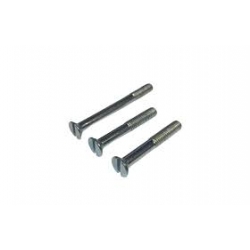 Parafuso Tampa Magneto SR1 2x44406,1x144416  Kit 3 parafusos   AJS/Matchless