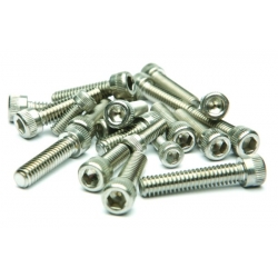 Parafuso Motor Triumph T20 Distribuidor Kit17 BSF Allen Inox