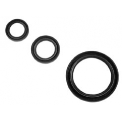 Retentor Prato Pinhão de Ataque Triumph 3TA 70-3833 20x30x7