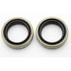 Retentor Suspensão Frontal BSA B31 (29-5313) cada