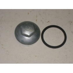 Tampão Válvula BSA C15  (40-0181/ 40-0031) Sext.